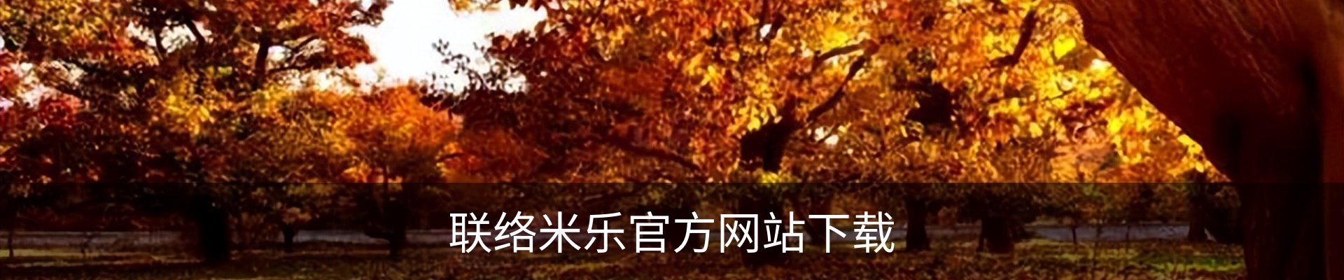 内页banner